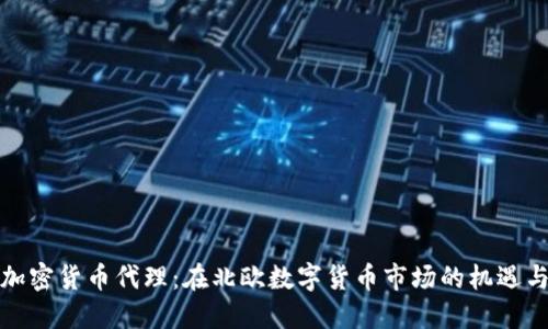挪威加密货币代理:在北欧数字货币市场的机遇与挑战