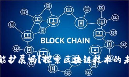 加密货币能扩展吗？探索区块链技术的未来与挑战