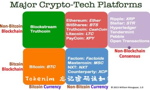 : Tokenim 忘记密码该如何找回?