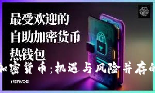 疯狂买入加密货币:机遇与风险并存的投资之路