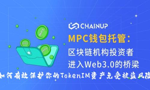 如何有效保护你的TokenIM资产免受被盗风险