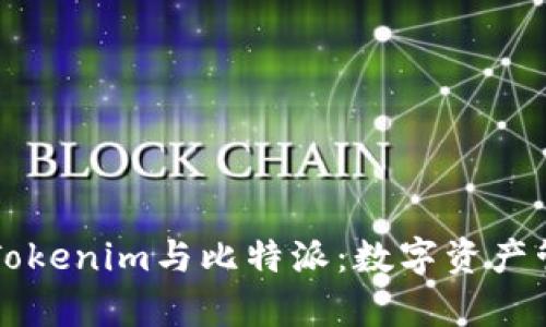 深入分析Tokenim与比特派：数字资产管理的未来