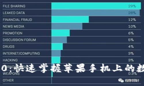 Tokenim 2.0:快速掌握苹果手机上的数字资产管理