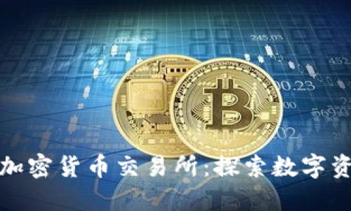 新加坡本土加密货币交易所：探索数字资产的新机遇