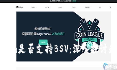 Tokenim是否支持BSV：深入探讨和分析