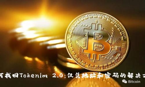 如何找回Tokenim 2.0：仅凭地址和密码的解决方案