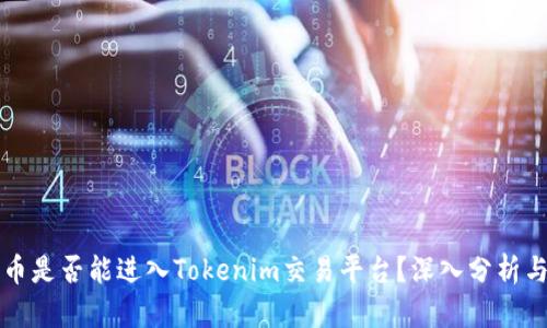 传销币是否能进入Tokenim交易平台？深入分析与解读