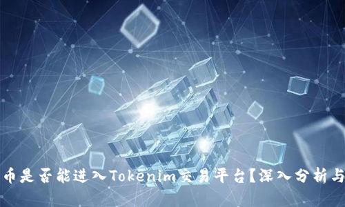 传销币是否能进入Tokenim交易平台？深入分析与解读