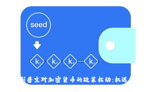 俄罗斯普京对加密货币的政策松动：机遇与挑战