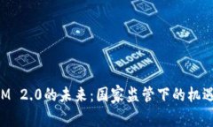 TokenIM 2.0的未来：国家监管下的机遇与挑战