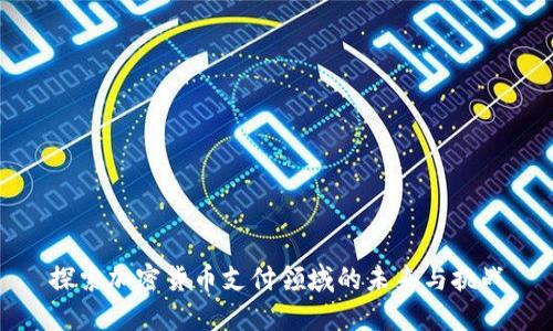 探索加密货币支付领域的未来与挑战
