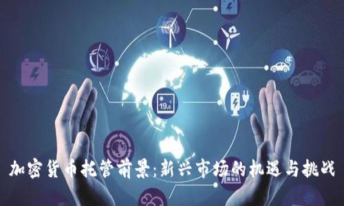 加密货币托管前景:新兴市场的机遇与挑战