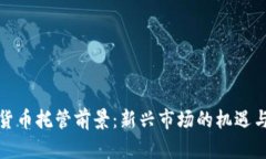 加密货币托管前景:新兴市场的机遇与挑战