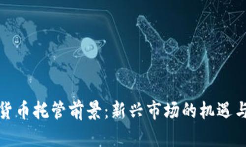 加密货币托管前景:新兴市场的机遇与挑战