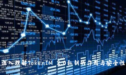 深入理解TokenIM 2.0私钥的作用与安全性