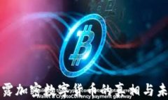 揭露加密数字货币的真相与未来