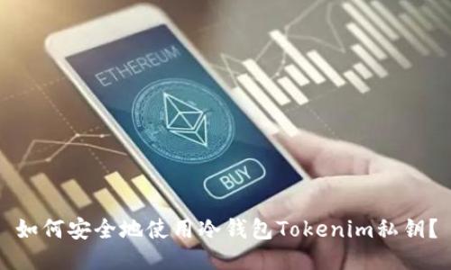 如何安全地使用冷钱包Tokenim私钥?