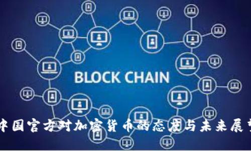 中国官方对加密货币的态度与未来展望