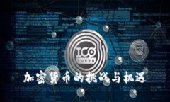 加密货币的挑战与机遇