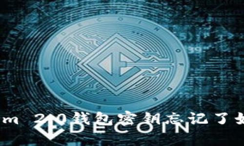 : Tokenim 2.0钱包密钥忘记了如何恢复？