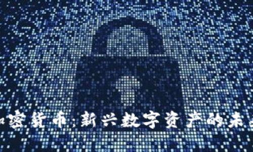 BAC加密货币：新兴数字资产的未来探索