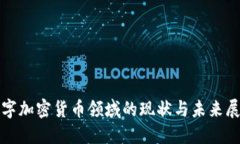 数字加密货币领域的现状与未来展望