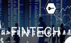 中国加密货币平台的现状与未来展望