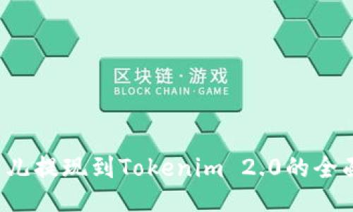  比特儿提现到Tokenim 2.0的全面指南