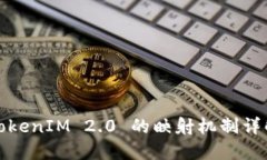 TokenIM 2.0 的映射机制详解