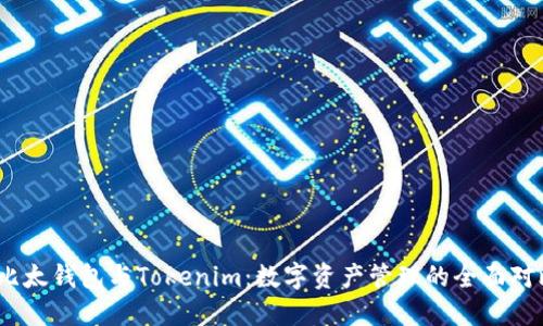   比太钱包与Tokenim：数字资产管理的全面对比 