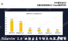 Tokenim 2.0 映射后鼻子缺失的深度解析