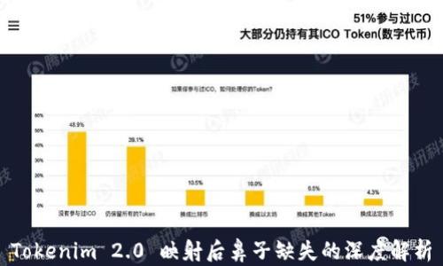 
Tokenim 2.0 映射后鼻子缺失的深度解析