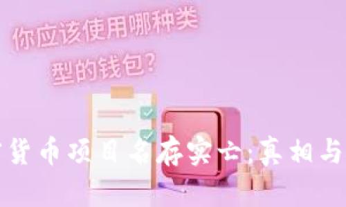 加密货币项目名存实亡:真相与展望