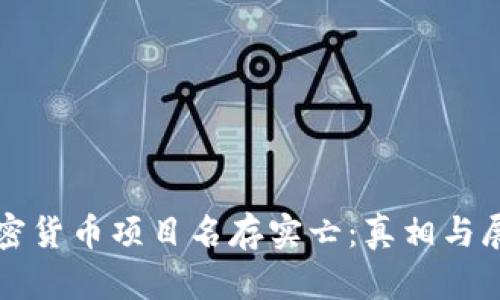 加密货币项目名存实亡:真相与展望