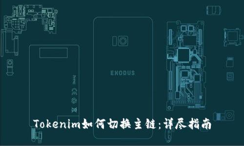 Tokenim如何切换主链：详尽指南