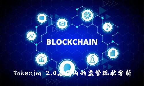 Tokenim 2.0在国内的监管现状分析