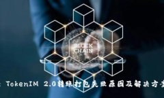 : TokenIM 2.0转账打包失败原因及解决方案