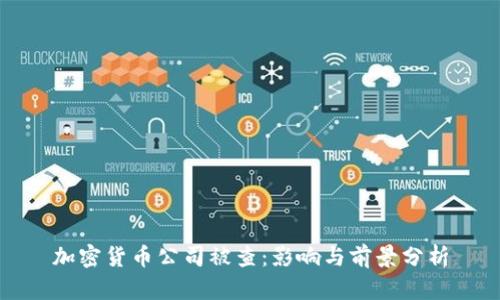 加密货币公司被查：影响与前景分析