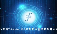 深入分析Tokenim 2.0钱包矿工费问题及解决方案