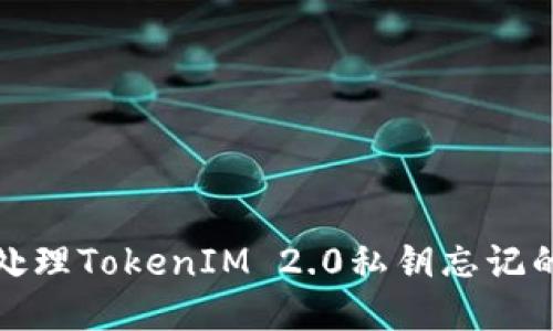如何处理TokenIM 2.0私钥忘记的问题