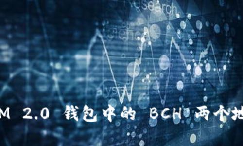 TokenIM 2.0 钱包中的 BCH 两个地址详解
