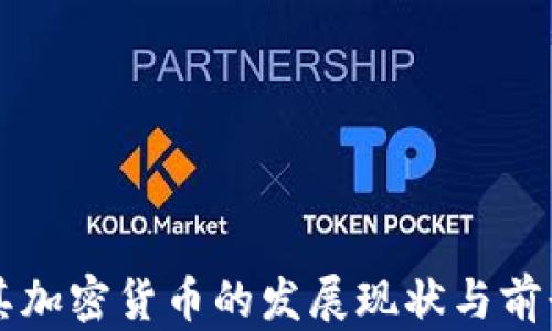 
土耳其加密货币的发展现状与前景分析