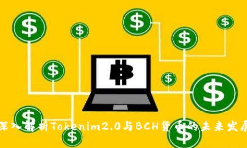 深入解析Tokenim2.0与BCH货币的未来发展