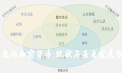 主流的加密货币：现状与未来发展分析