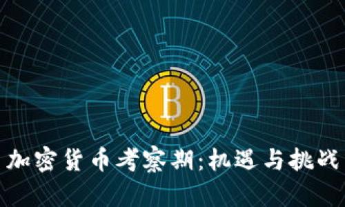 加密货币考察期：机遇与挑战