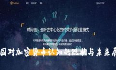 美国对加密货币认知的现状与未来展望