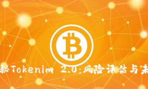 深度揭秘Tokenim 2.0：风险评估与未来趋势