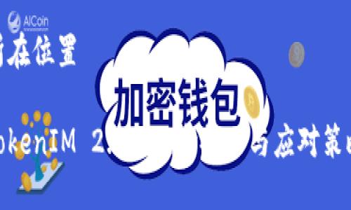 所在位置 

TokenIM 2.0: 风险提示与应对策略