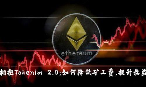 拥抱Tokenim 2.0：如何降低矿工费，提升收益