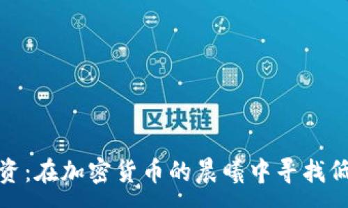 :  
智慧投资：在加密货币的晨曦中寻找低吸机会